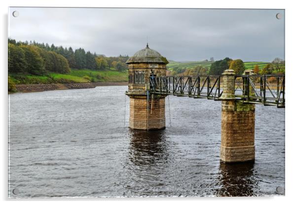 Lower Laithe Reservoir Yorkshire Acrylic by Diana Mower