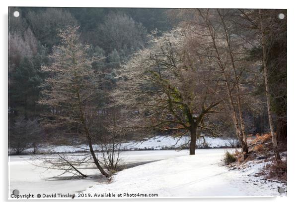Winter at Mallards Pike No 3 Acrylic by David Tinsley