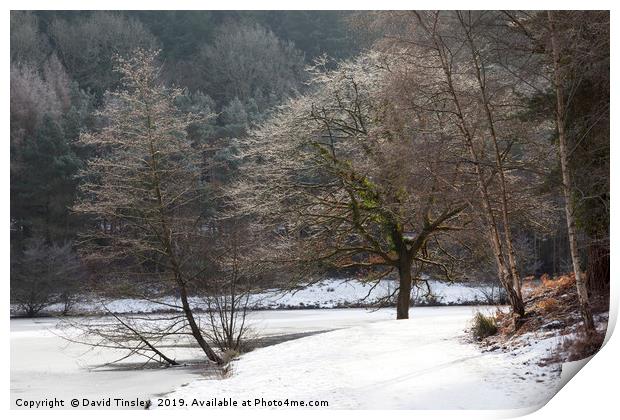 Winter at Mallards Pike No 3 Print by David Tinsley