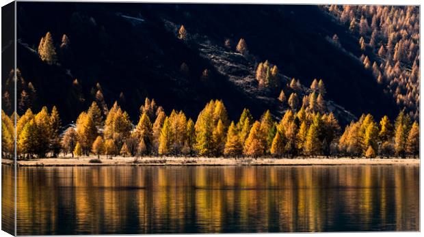 Lake Sils Canvas Print by DiFigiano Photography