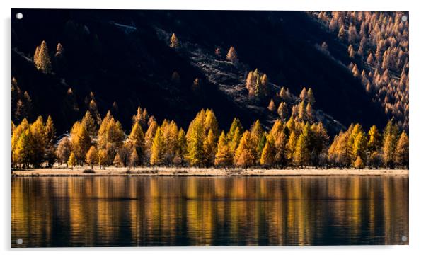 Lake Sils Acrylic by DiFigiano Photography