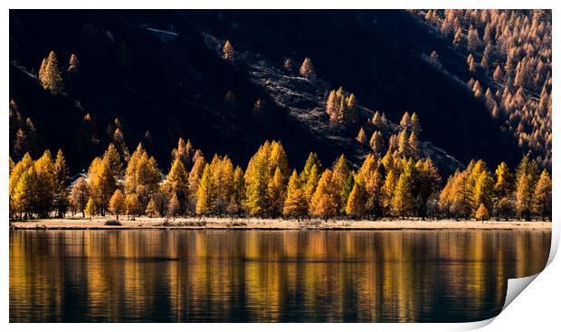 Lake Sils Print by DiFigiano Photography