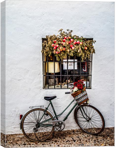 Bike with Basket Canvas Print by Lynne Morris (Lswpp)