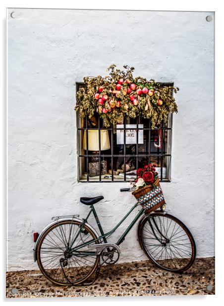Bike with Basket Acrylic by Lynne Morris (Lswpp)