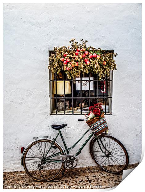 Bike with Basket Print by Lynne Morris (Lswpp)