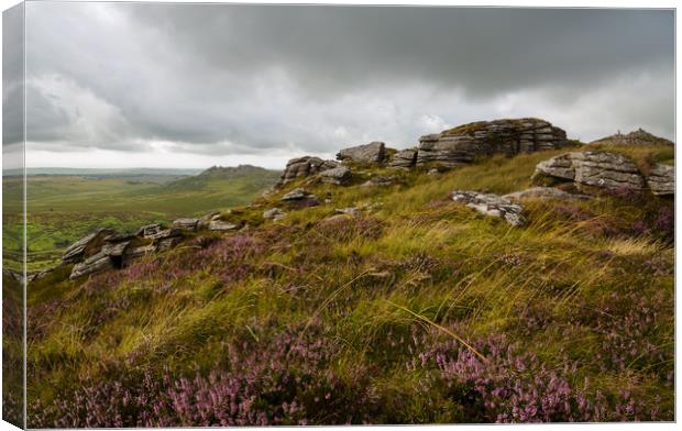 Brown Willy Bodmin Moor Canvas Print by CHRIS BARNARD