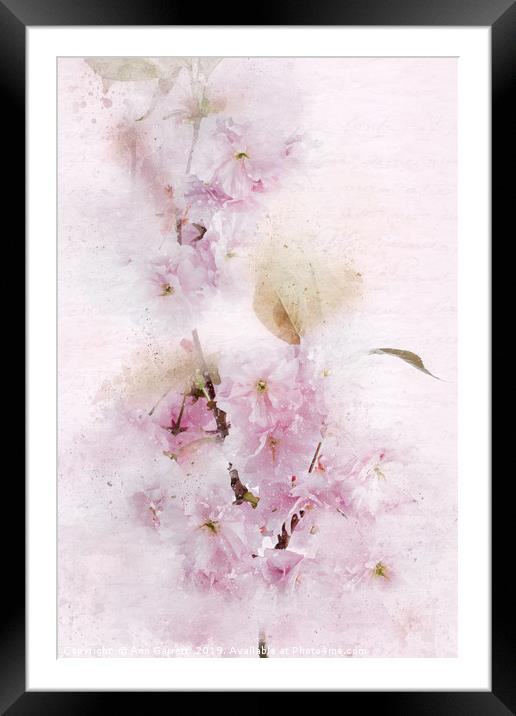 Flowering Cherry Pastels Framed Mounted Print by Ann Garrett