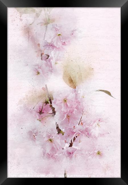 Flowering Cherry Pastels Framed Print by Ann Garrett