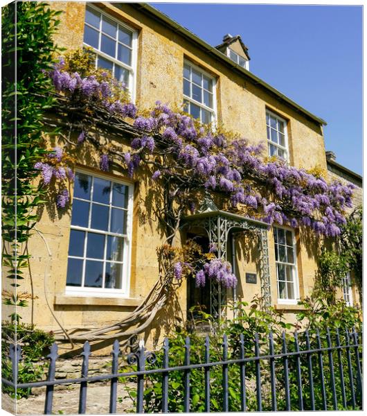 Cotswold Wisteria Canvas Print by Jason Williams