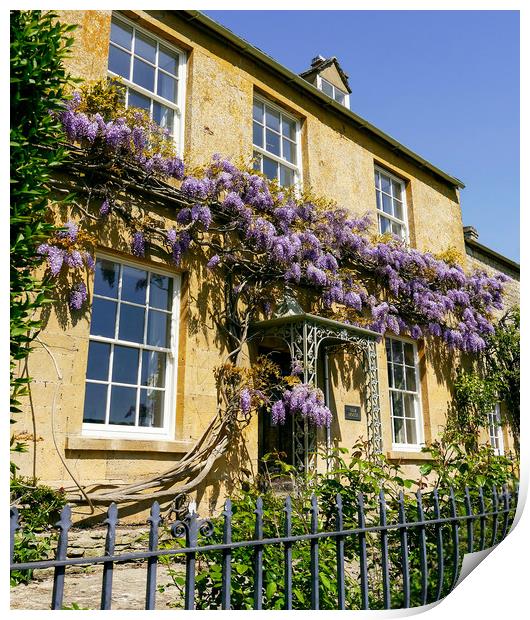 Cotswold Wisteria Print by Jason Williams