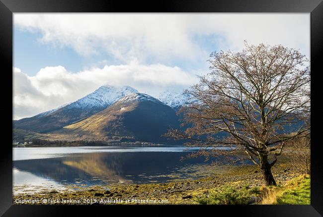 Loch Leven Winter Tree Glencoe Scottish Highlands Framed Print by Nick Jenkins