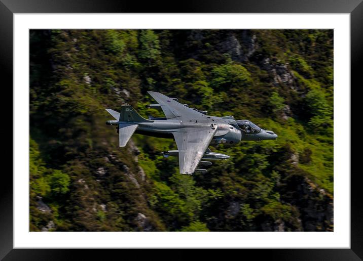 Harrier GR9 flying low Framed Mounted Print by Oxon Images