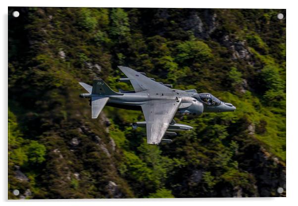 Harrier GR9 flying low Acrylic by Oxon Images