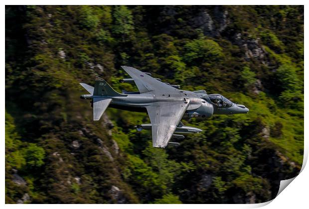 Harrier GR9 flying low Print by Oxon Images