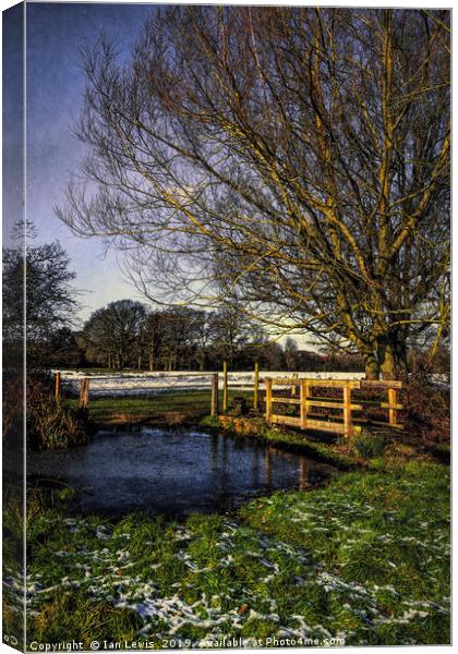 The Brook at Tidmarsh  Canvas Print by Ian Lewis