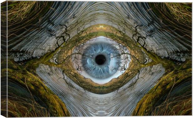 The all seeing eye of nature.. Canvas Print by JC studios LRPS ARPS
