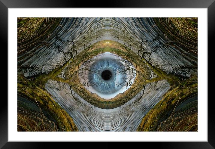 The all seeing eye of nature.. Framed Mounted Print by JC studios LRPS ARPS
