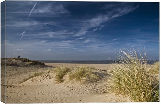 Through the Dunes Canvas Print by Paul Macro