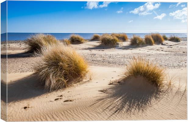Dunes Canvas Print by Kevin Snelling