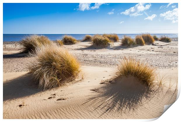 Dunes Print by Kevin Snelling
