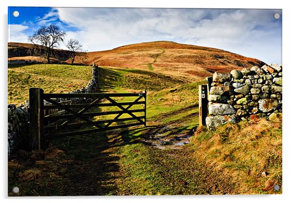 Humbleton Hill, Northumberland National Park Acrylic by David Lewins (LRPS)