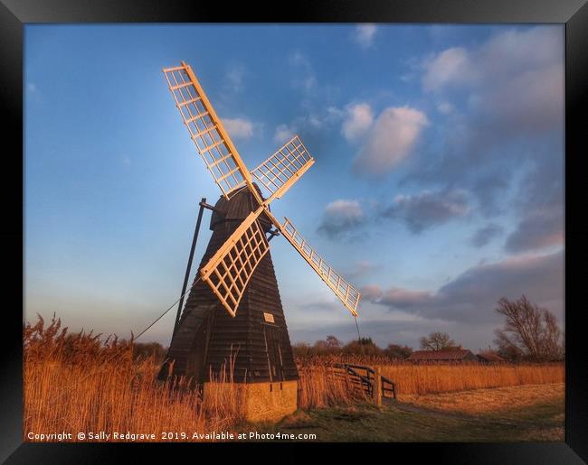        Windmill                          Framed Print by Sally Redgrave