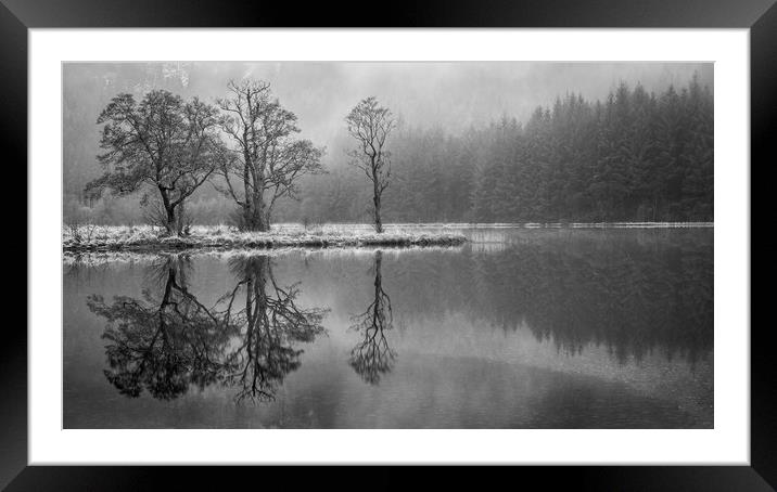 The Three Trees Framed Mounted Print by George Robertson