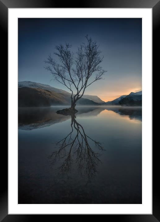 Lone Tree Framed Mounted Print by Jed Pearson