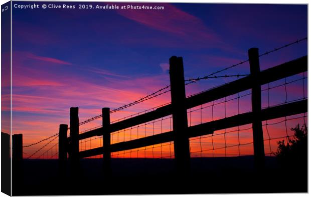 Sunset Fence Canvas Print by Clive Rees