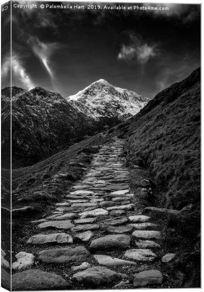 Miners Track, Snowdon Canvas Print by Palombella Hart