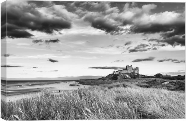 Landscape of Bamburgh Castle Canvas Print by Naylor's Photography