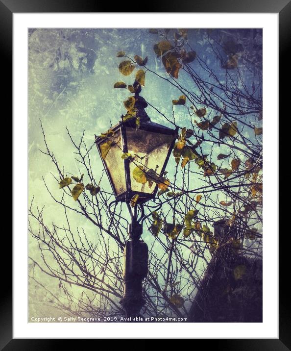  Street Lamp                               Framed Mounted Print by Sally Redgrave