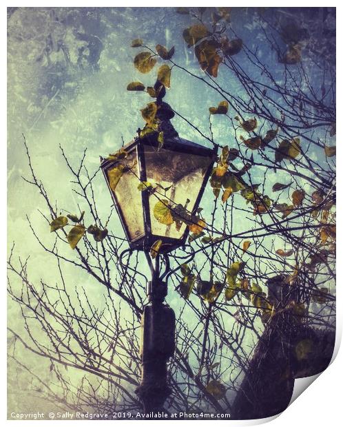  Street Lamp                               Print by Sally Redgrave