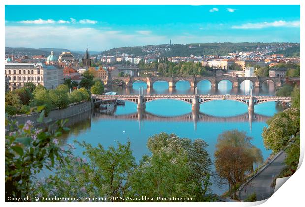 Panoramic view over Prague City main river Print by Daniela Simona Temneanu