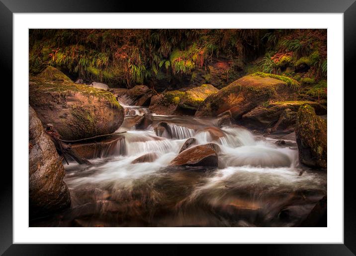 Textures of nature at Melincourt Brook Framed Mounted Print by Leighton Collins