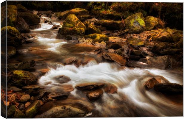 Melincourt Brook riverbed Canvas Print by Leighton Collins