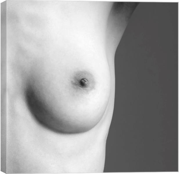 Naked Breast Canvas Print by Ann Spells