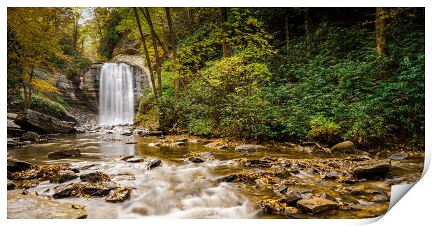 Pisgah Beauty Print by DiFigiano Photography