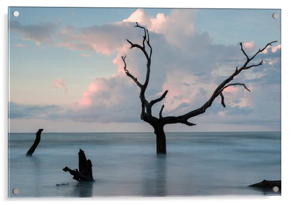 Bull Island Dawn Acrylic by DiFigiano Photography