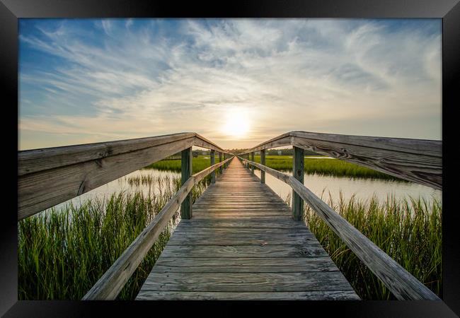 Summertime Framed Print by DiFigiano Photography