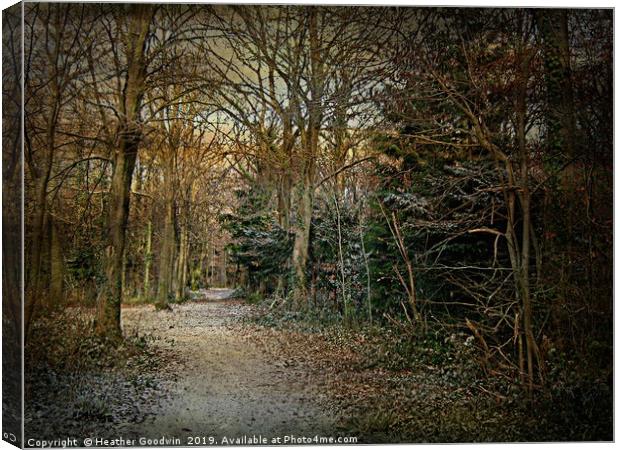 Winter Woodland. Canvas Print by Heather Goodwin
