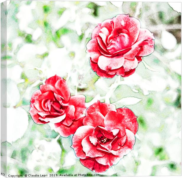 Dappled red roses Canvas Print by Claudio Lepri
