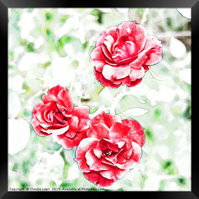 Dappled red roses Framed Print by Claudio Lepri