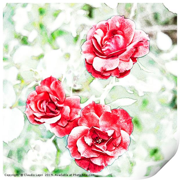 Dappled red roses Print by Claudio Lepri