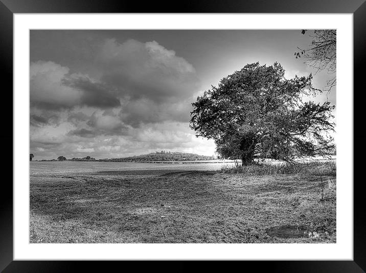 Lonesome Tree Framed Mounted Print by Louise Godwin