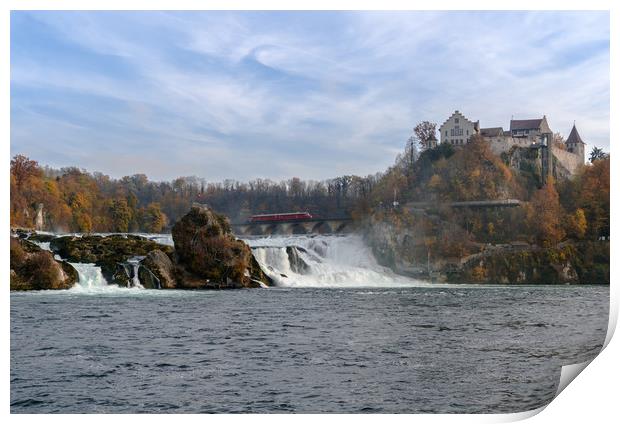 Red Arrow At Rhine Falls Print by DiFigiano Photography