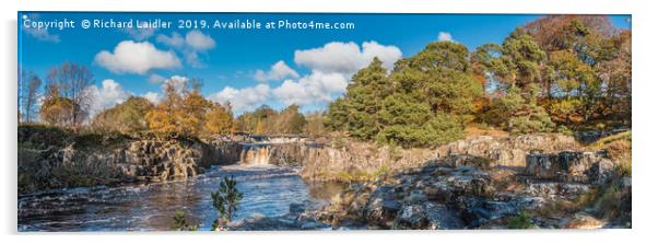 Autumn at Low Force Waterfall, Teesdale, Panorama Acrylic by Richard Laidler