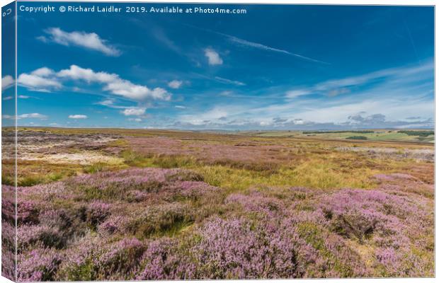 Fowering Heather on Bowes Moor, Teesdale Canvas Print by Richard Laidler