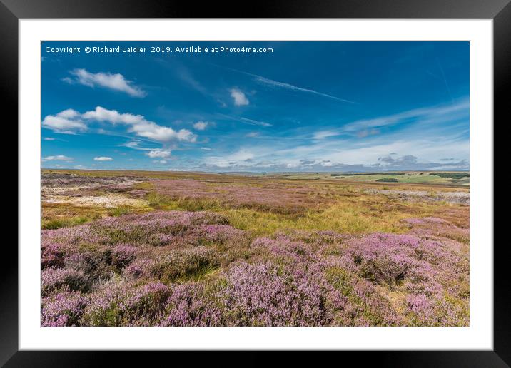 Fowering Heather on Bowes Moor, Teesdale Framed Mounted Print by Richard Laidler