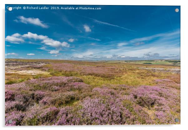 Fowering Heather on Bowes Moor, Teesdale Acrylic by Richard Laidler